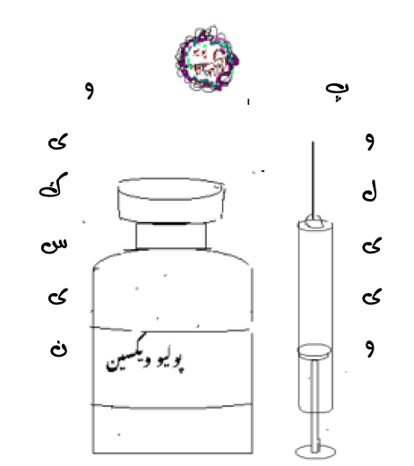 پوليو: ڪِنَي پاڻيءَ مان پکڙجندڙ بيماري